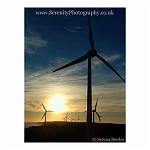 The silhouette of energy-providing windmills, Western Australia.